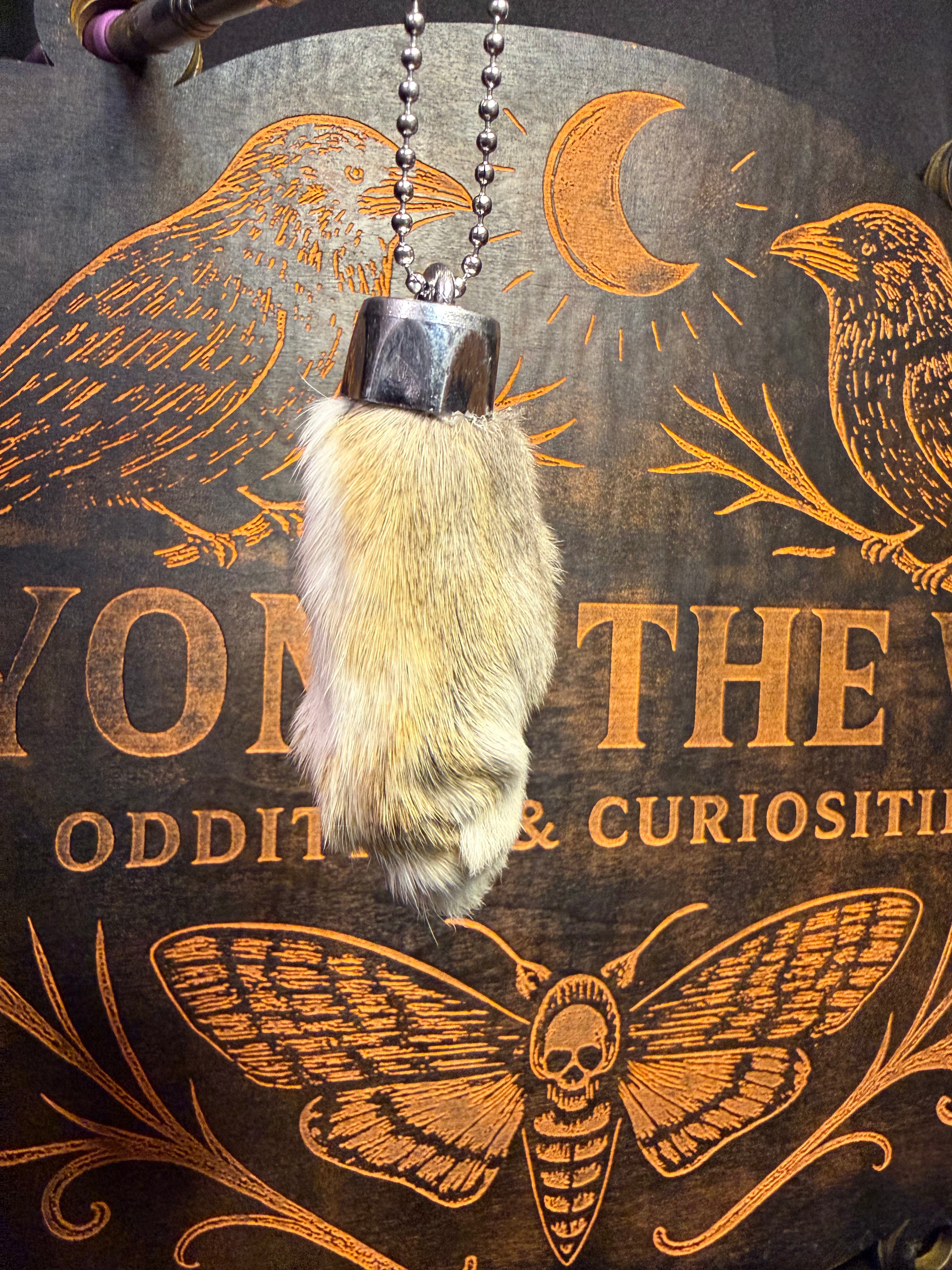 Lucky rabbits foot