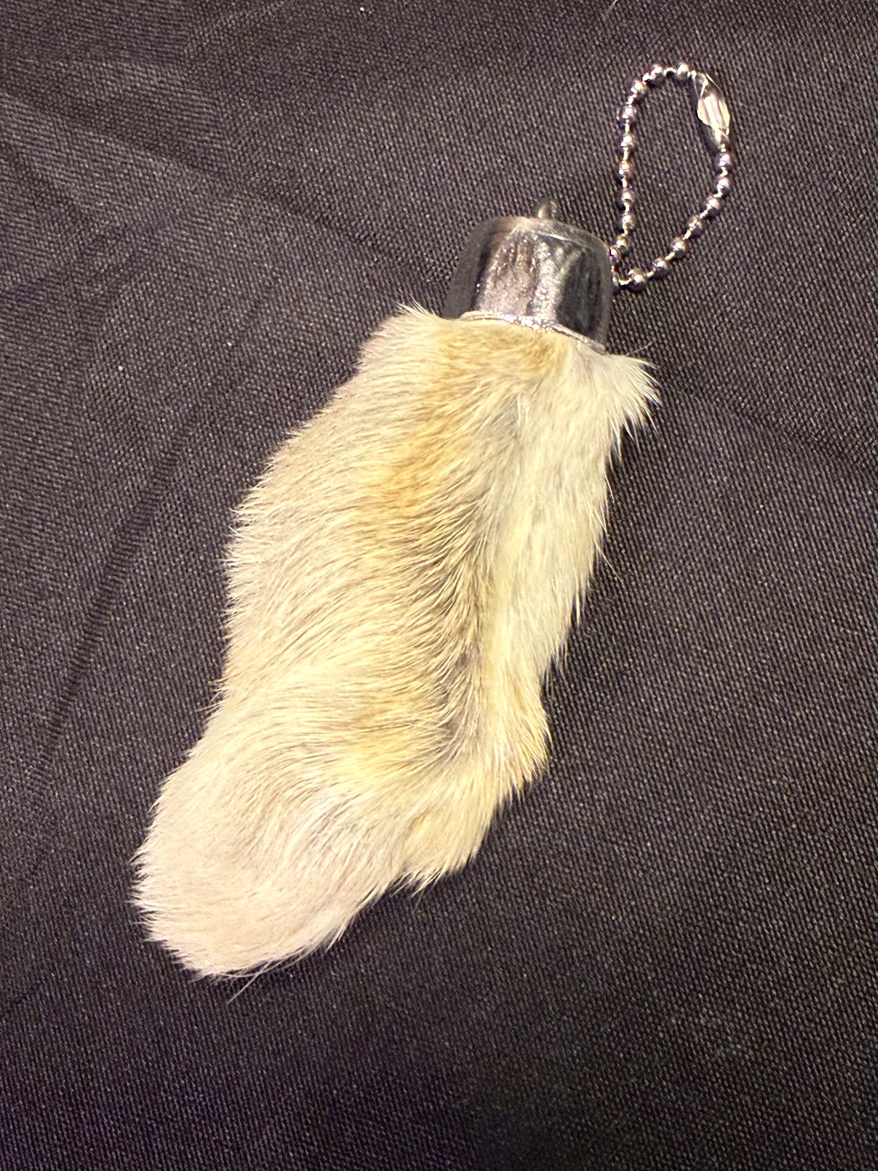 Lucky rabbits foot
