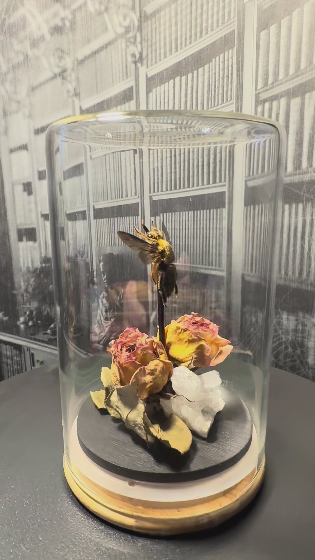 Tropical gold carpenter